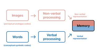 Dual Encoding Memroy Image Dual-coding theory | Cheng-Wei Hu
